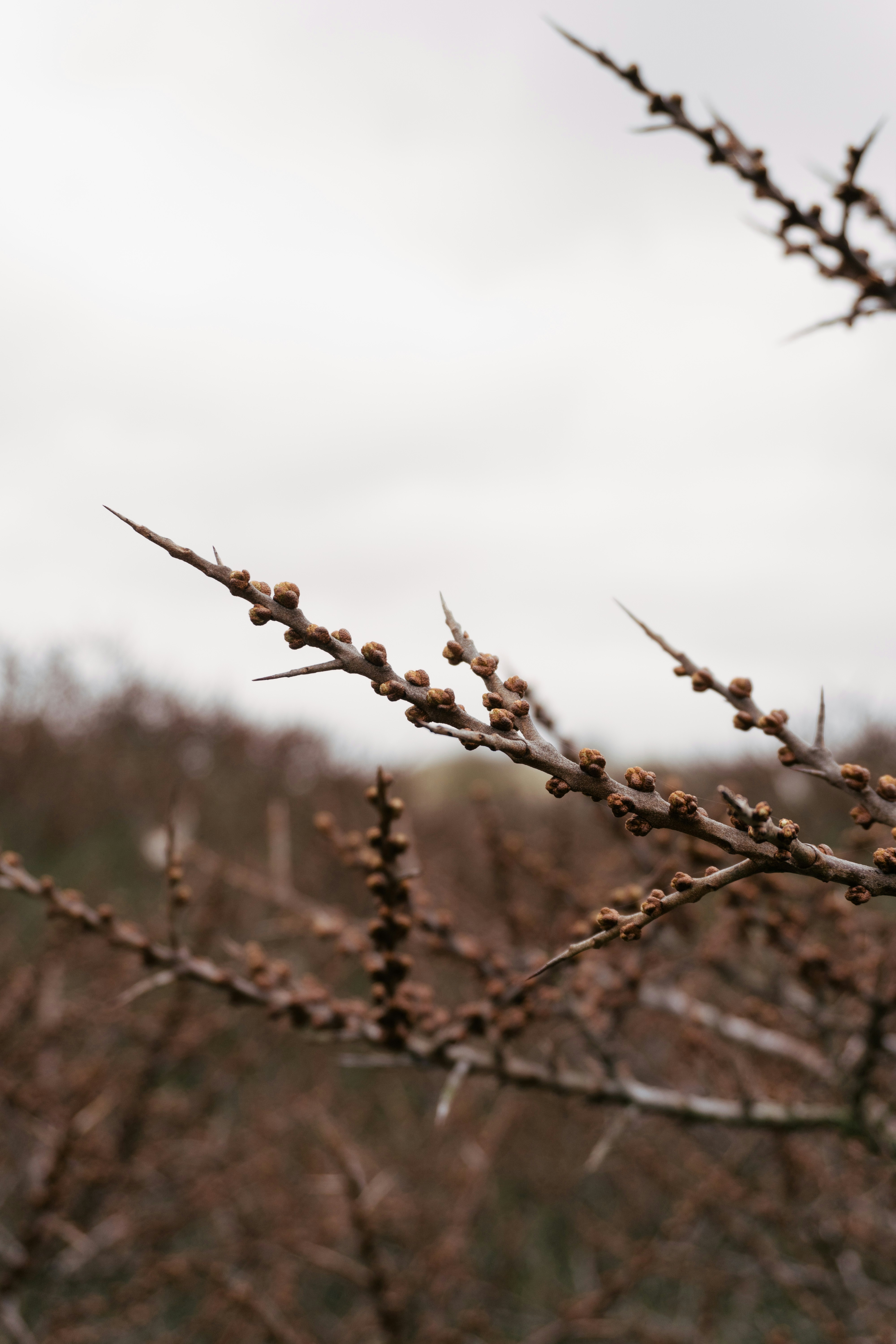 Photo by jurgendekker