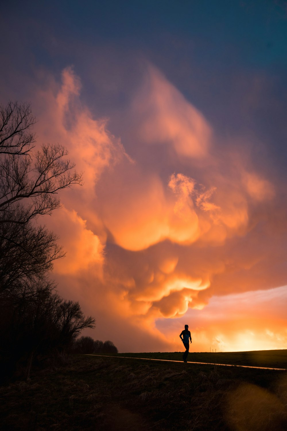 silhouette of man standing near bare tree under cloudy sky during daytime