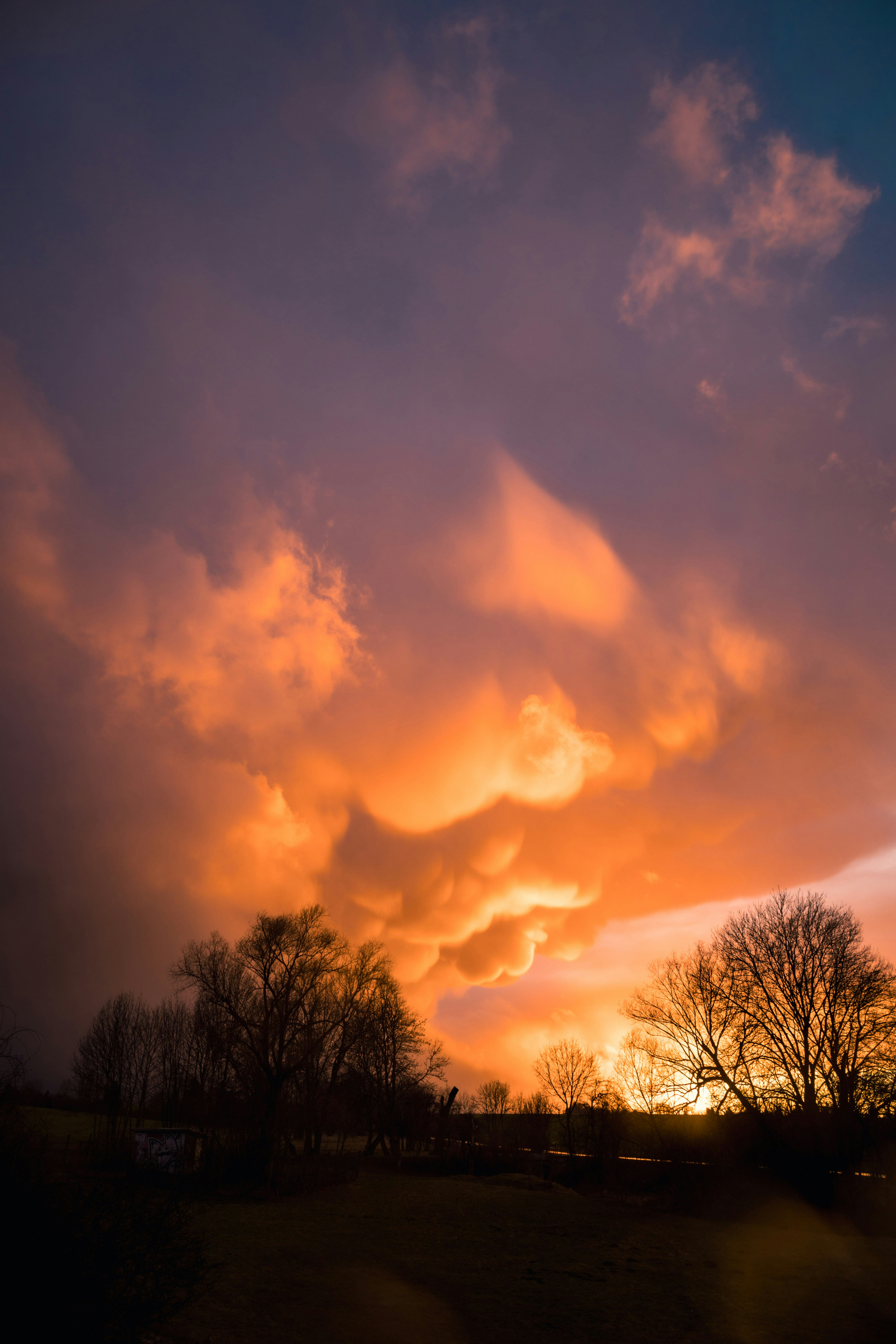 Silhouette von Bäumen unter bewölktem Himmel bei Sonnenuntergang