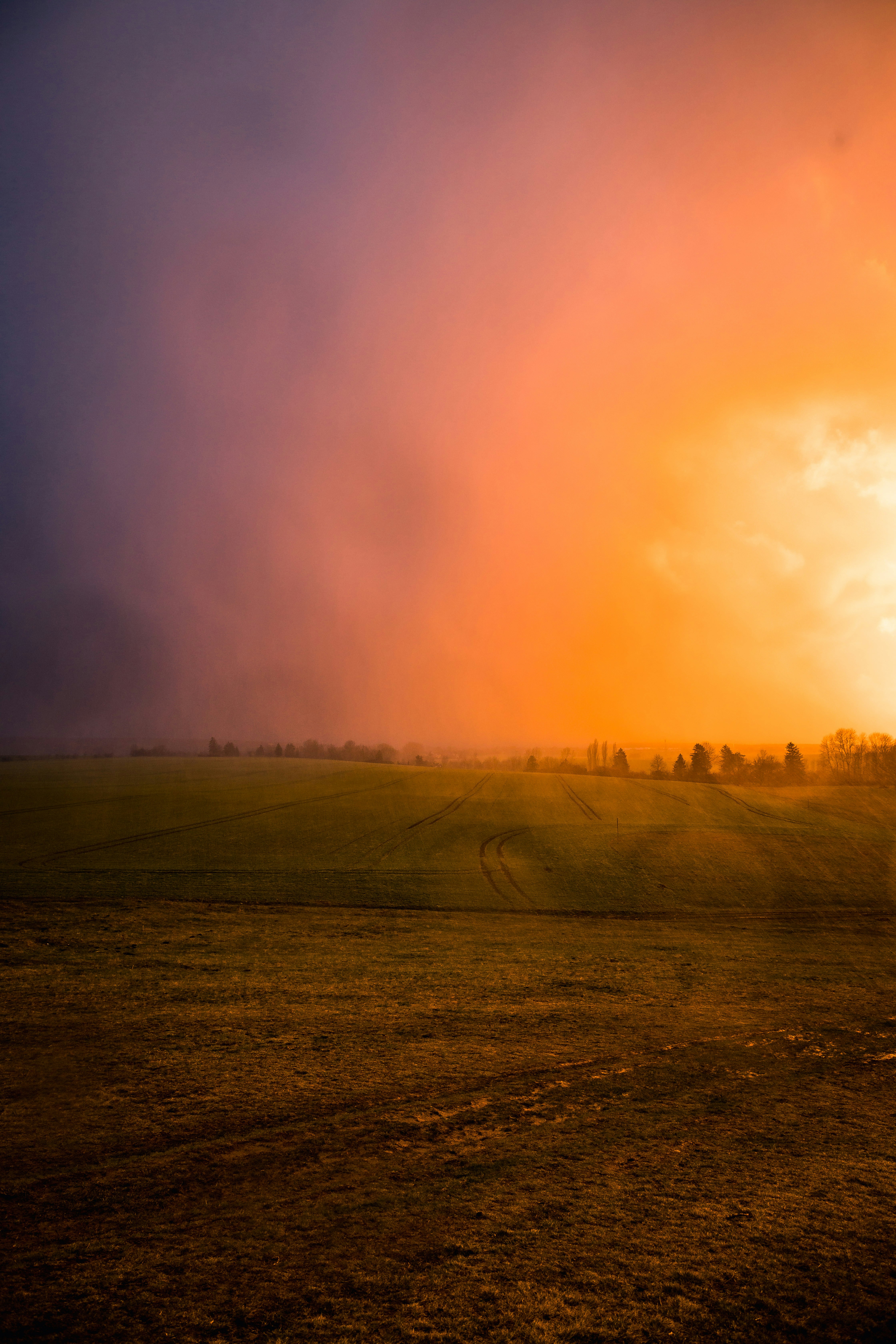 Grünes Grasfeld unter weißen Wolken