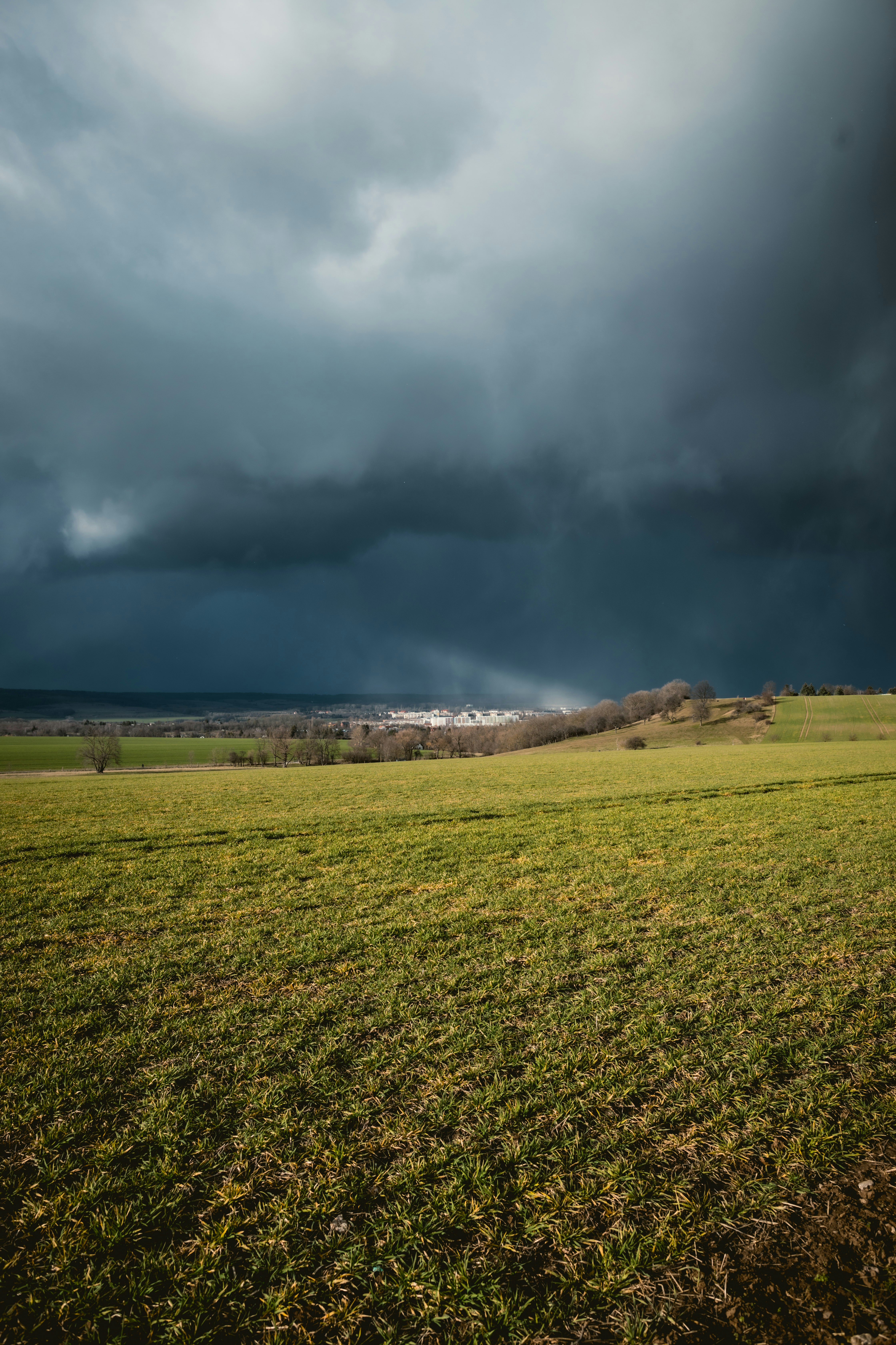 Grünes Grasfeld unter grauen Wolken