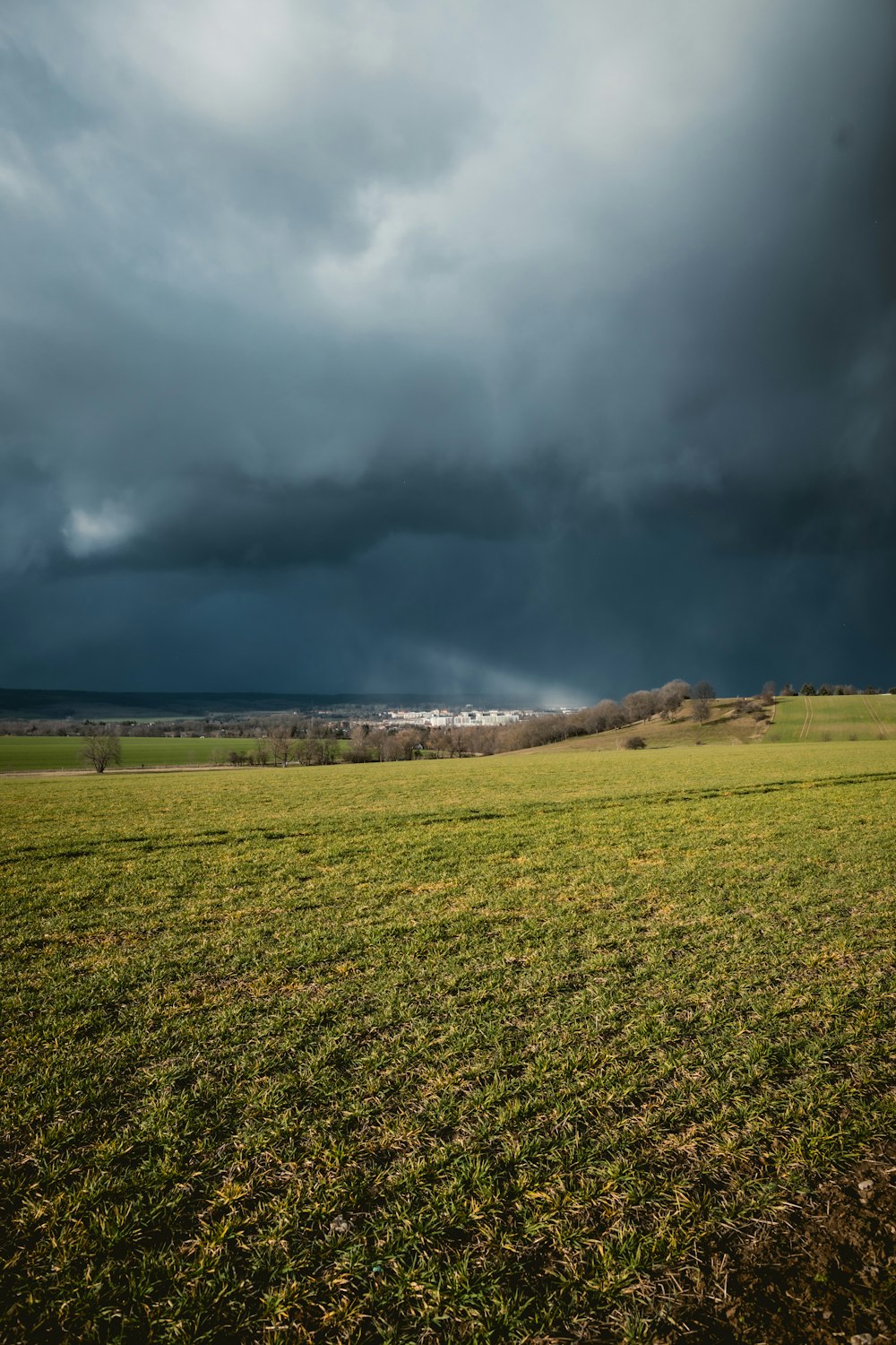 green grass field under gray clouds