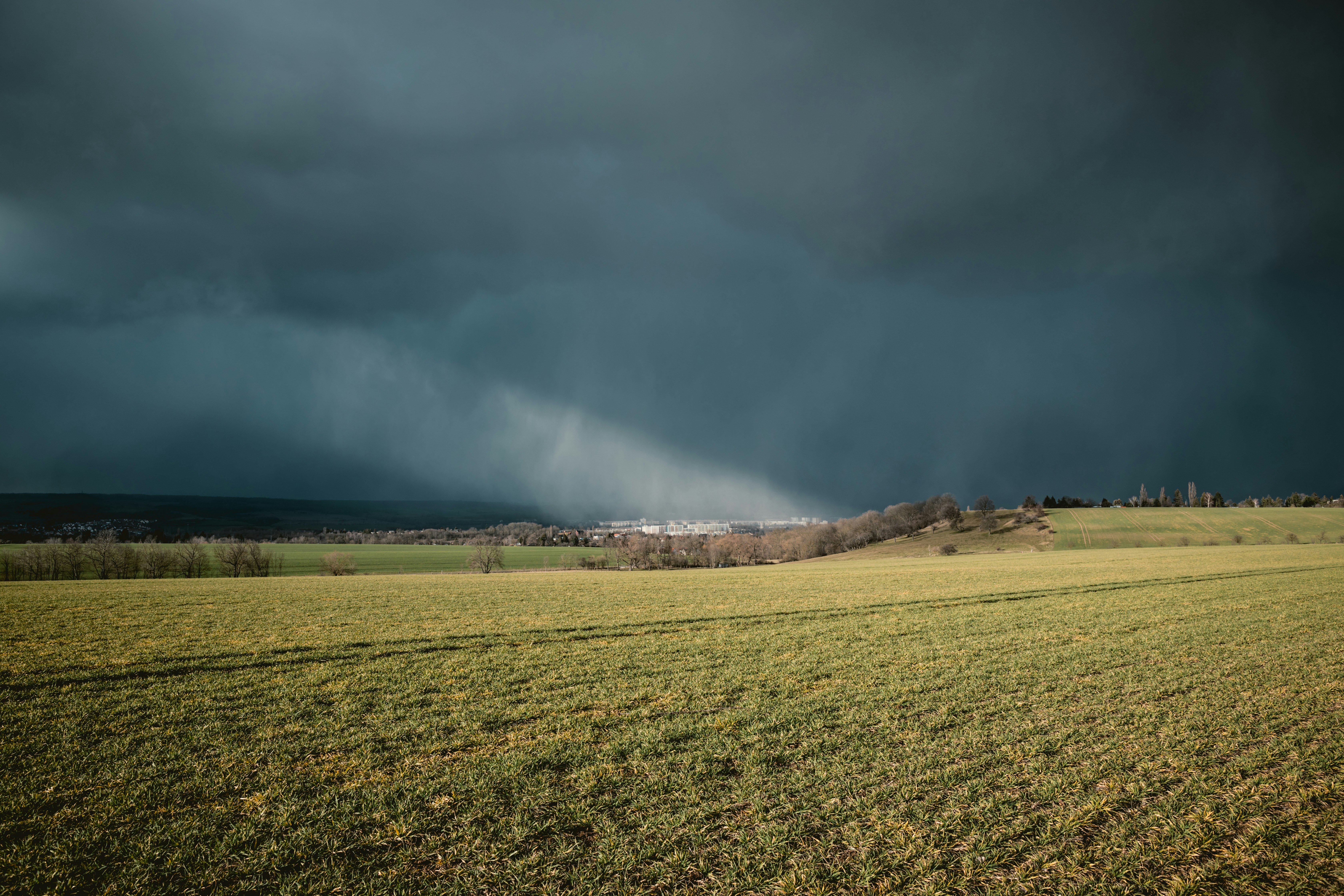 Grünes Grasfeld unter grauen Wolken