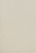 white wall paint with black line