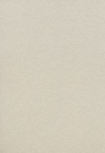 white wall paint with black line