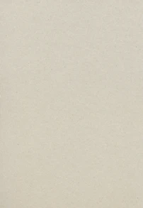 plain beige cardboard or recycled paper texture