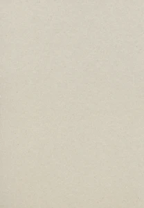 plain beige cardboard or recycled paper texture