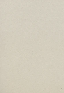 plain beige cardboard or recycled paper texture