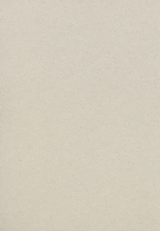 plain beige cardboard or recycled paper texture