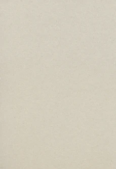 plain beige cardboard or recycled paper texture