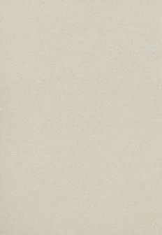 plain beige cardboard or recycled paper texture