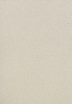 plain beige cardboard or recycled paper texture