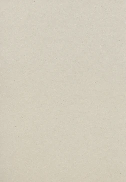 plain beige cardboard or recycled paper texture