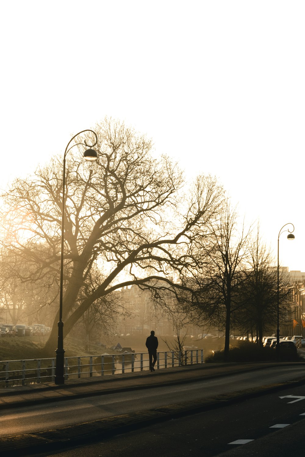 2 person walking on sidewalk near bare trees during daytime