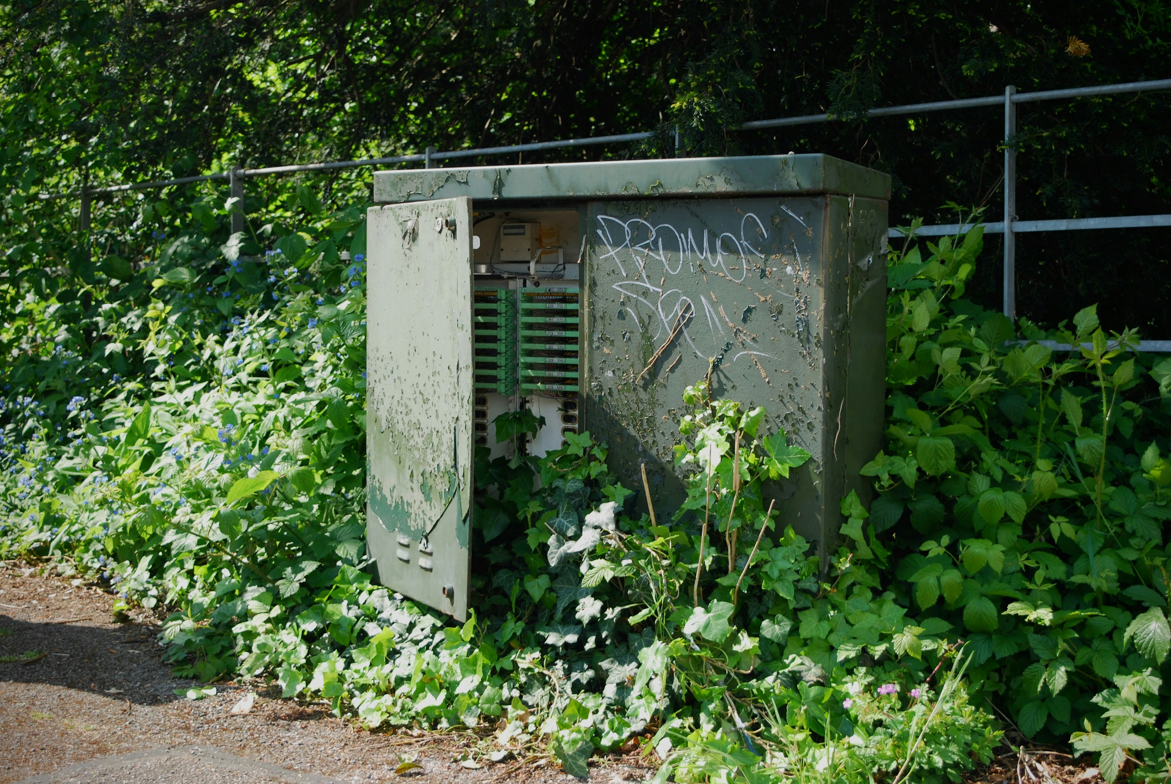 graue Metalltür mit grünen Pflanzen