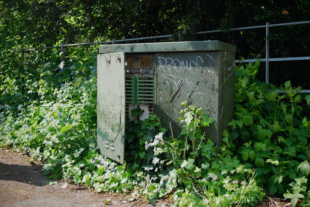 gray metal door with green plants