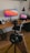A vibrant workspace with creative designs and photography equipment displayed on a desk.
