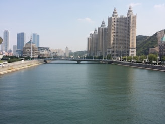 A wide river flows through an urban area bordered by tall skyscrapers on one side and lower buildings on the opposite bank. The river is spanned by a bridge in the distance. The cityscape features modern architecture and dense infrastructure, with greenery scattered along the riverbank.