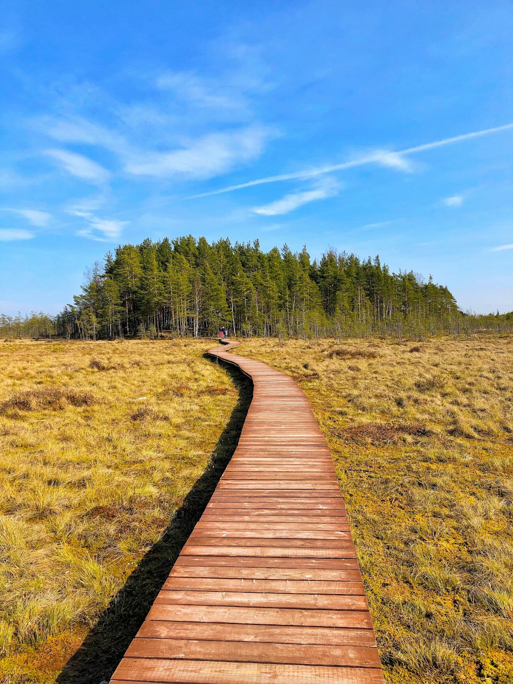 brown wooden pathway between green grass field under blue sky during daytime