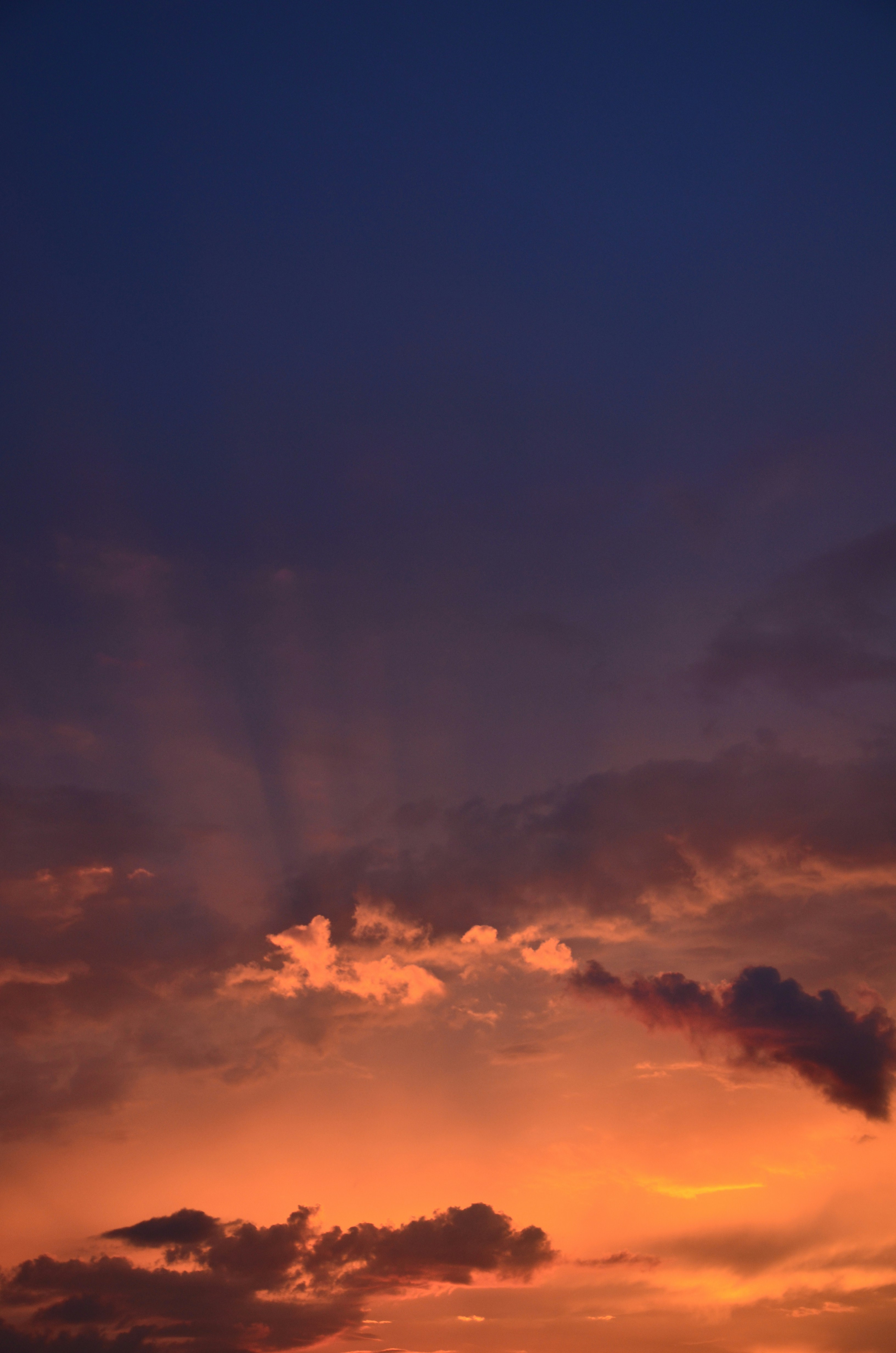 Photo by nika_benedictova