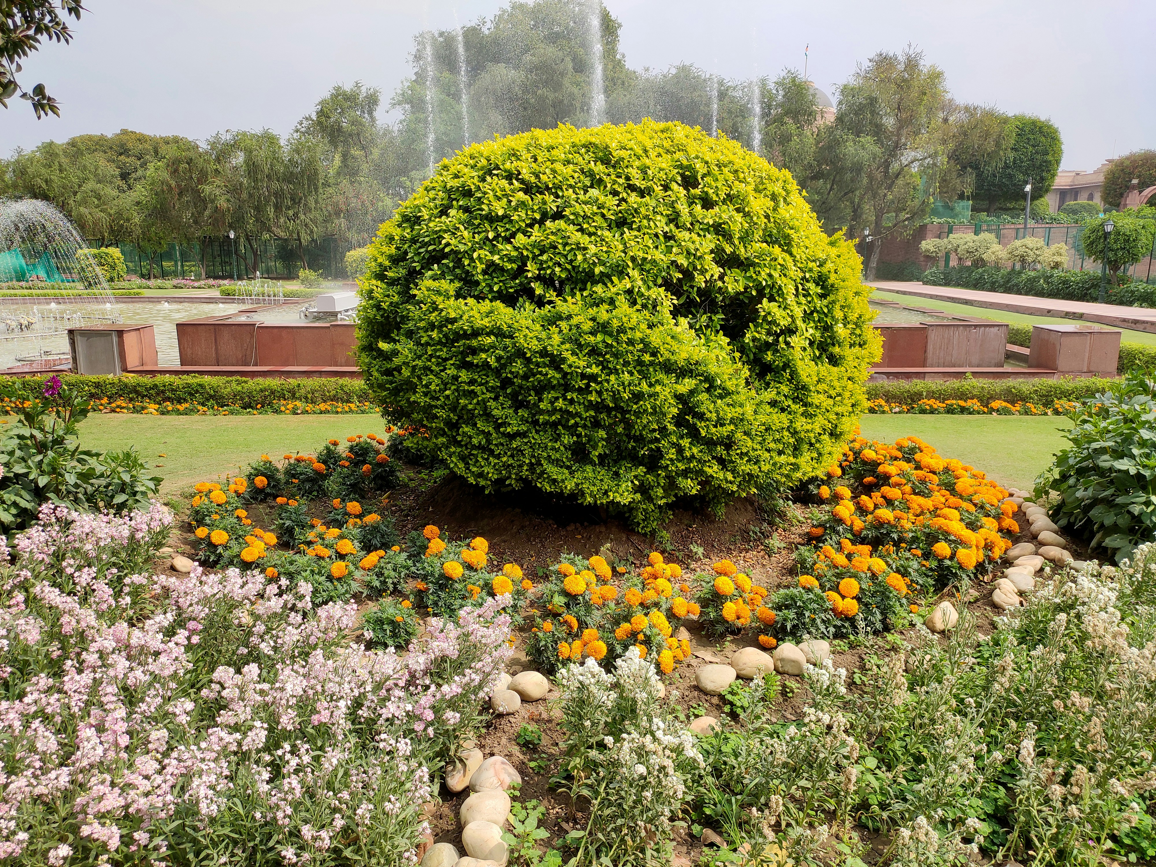 How to Build a High-Value Garden for Under $100?