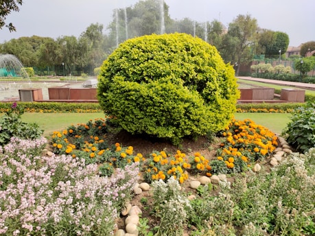 A lush green garden features a large, perfectly rounded bush as the central focus, surrounded by bright marigold flowers. The background includes manicured lawns, trees, and elegant fountains, creating a serene and well-maintained outdoor space.