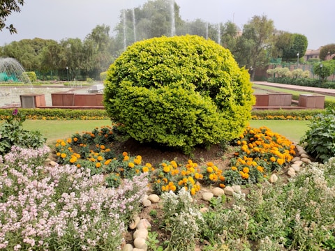 A lush green garden features a large, perfectly rounded bush as the central focus, surrounded by bright marigold flowers. The background includes manicured lawns, trees, and elegant fountains, creating a serene and well-maintained outdoor space.