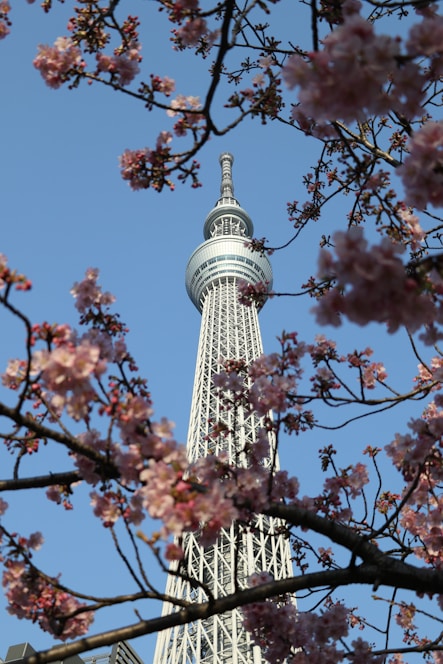 white and black tower under blue sky during daytime