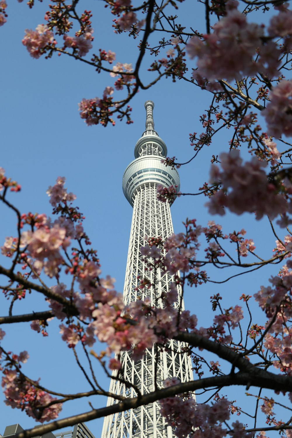 white and black tower under blue sky during daytime