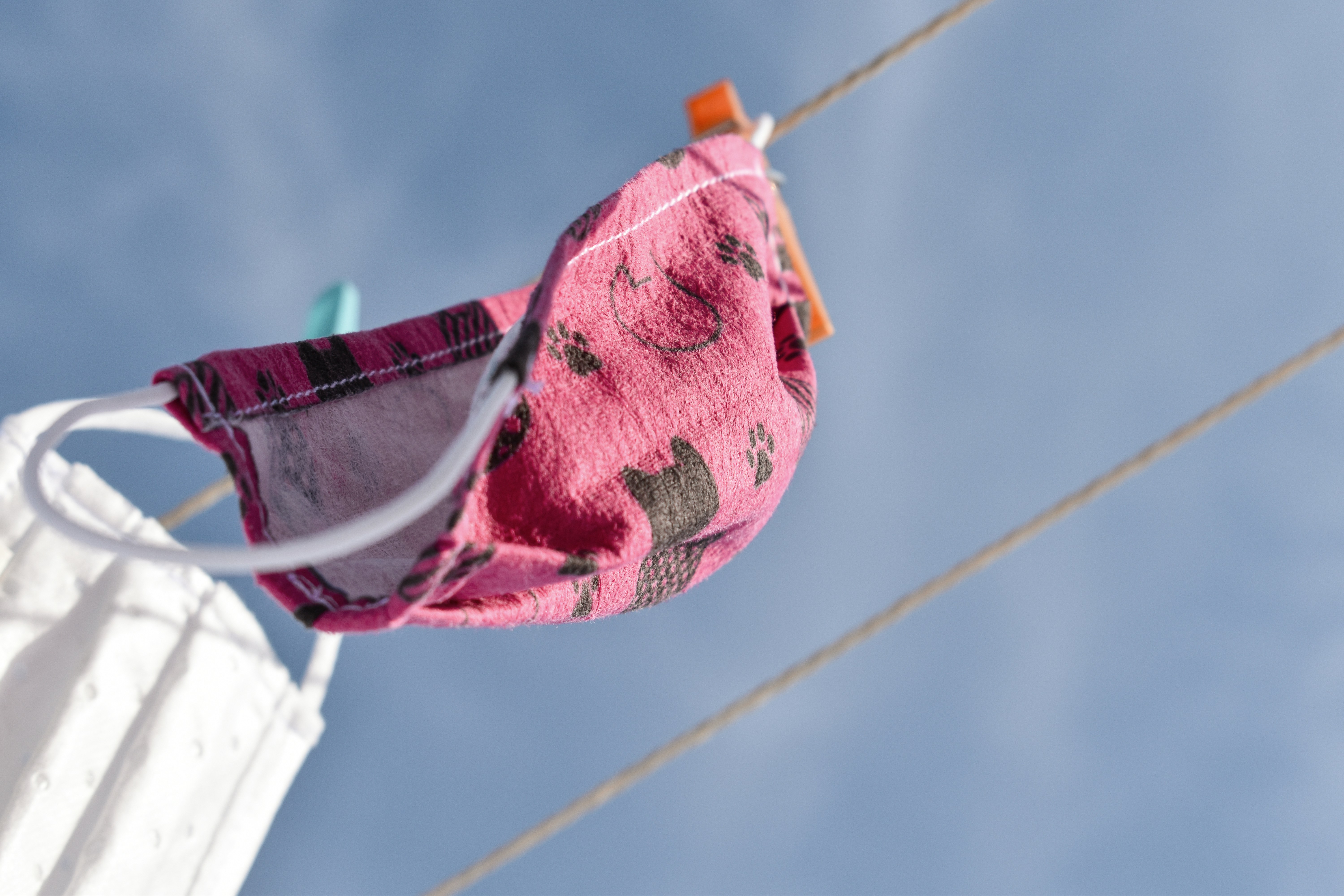 red and white floral textile