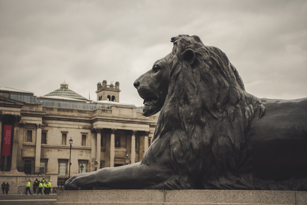 Estatua del león gris cerca del edificio