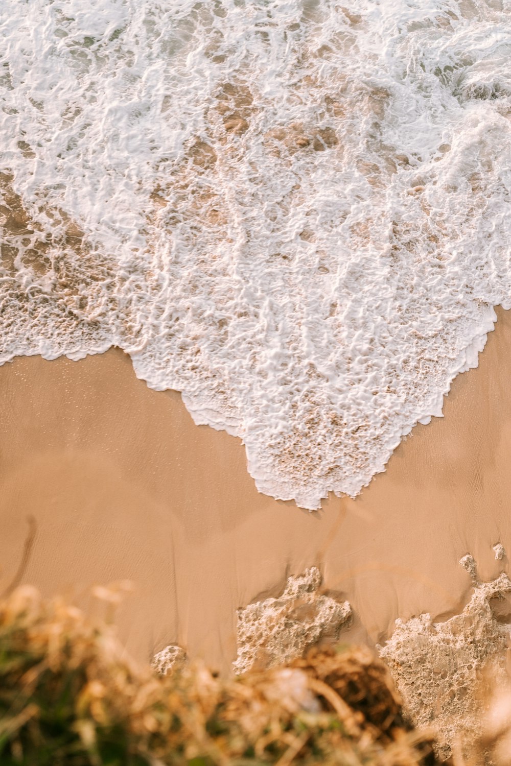 white and brown floral textile