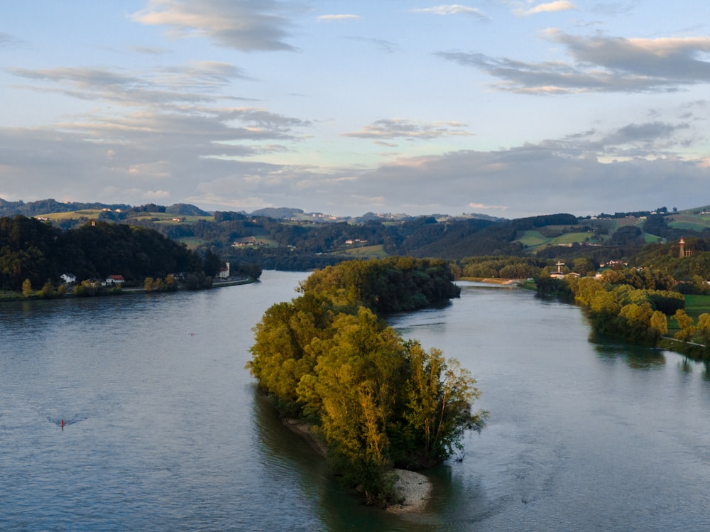 Grüne Bäume am Fluss unter bewölktem Himmel während des Tages