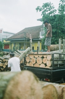 Two individuals are involved in transporting cut logs. One person stands on a pile of logs loaded onto the back of a truck, while the other person stands nearby. The background includes a house with a tiled roof and greenery.