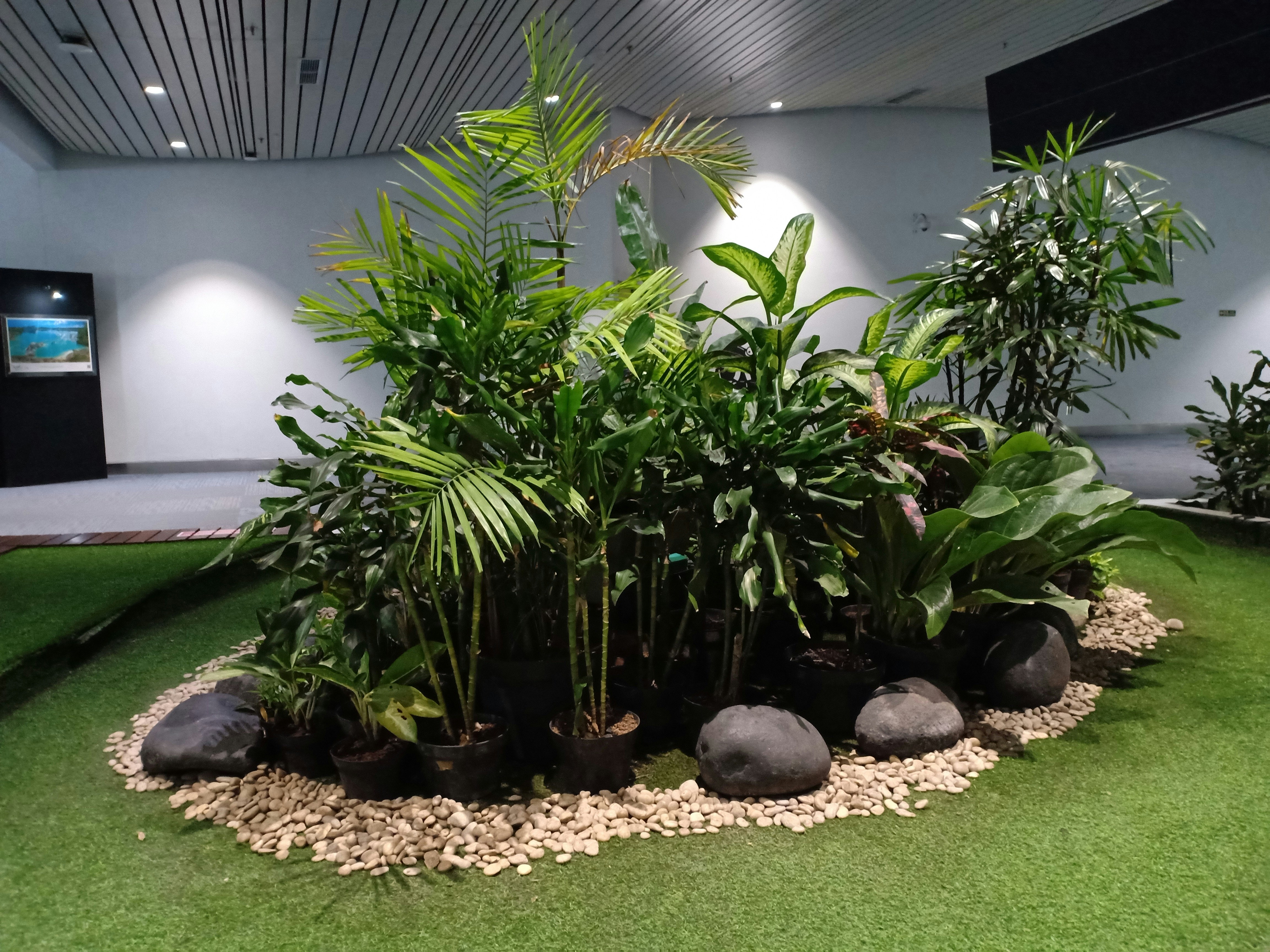 Lush professionally designed landscape with green plants and stone features
