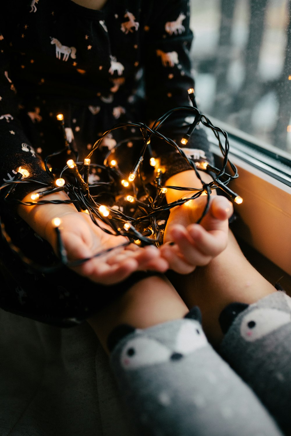 person holding yellow string lights