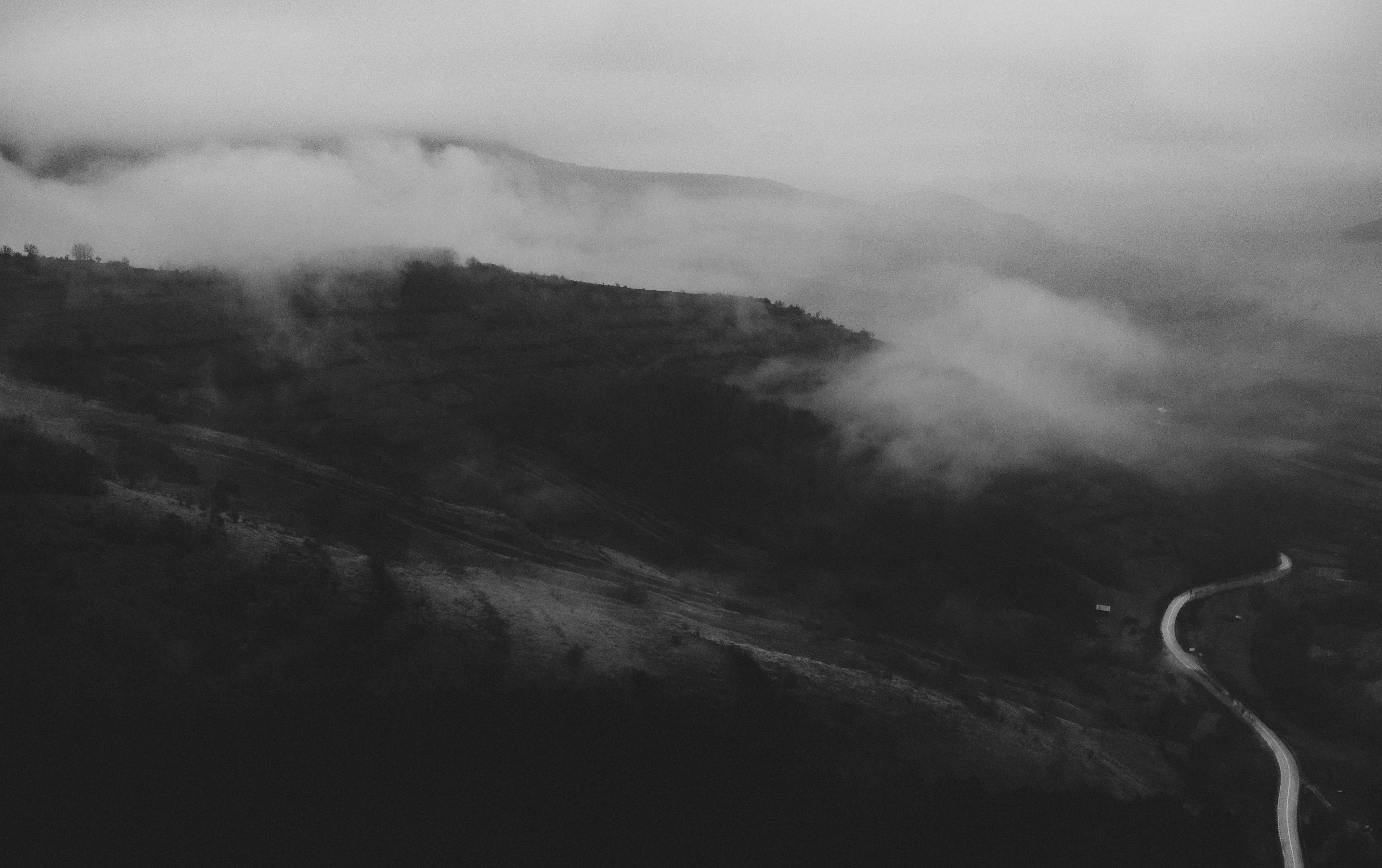 Photo by moisamihai092