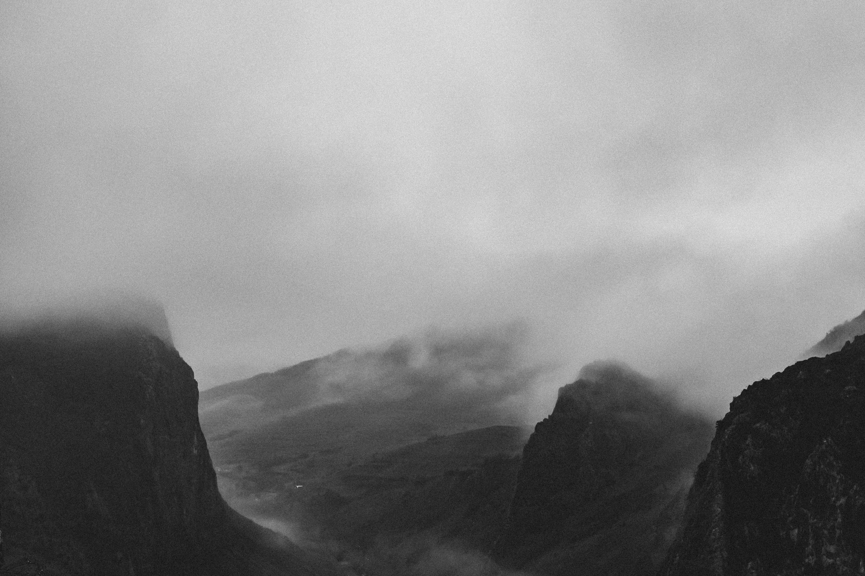 Photo by moisamihai092