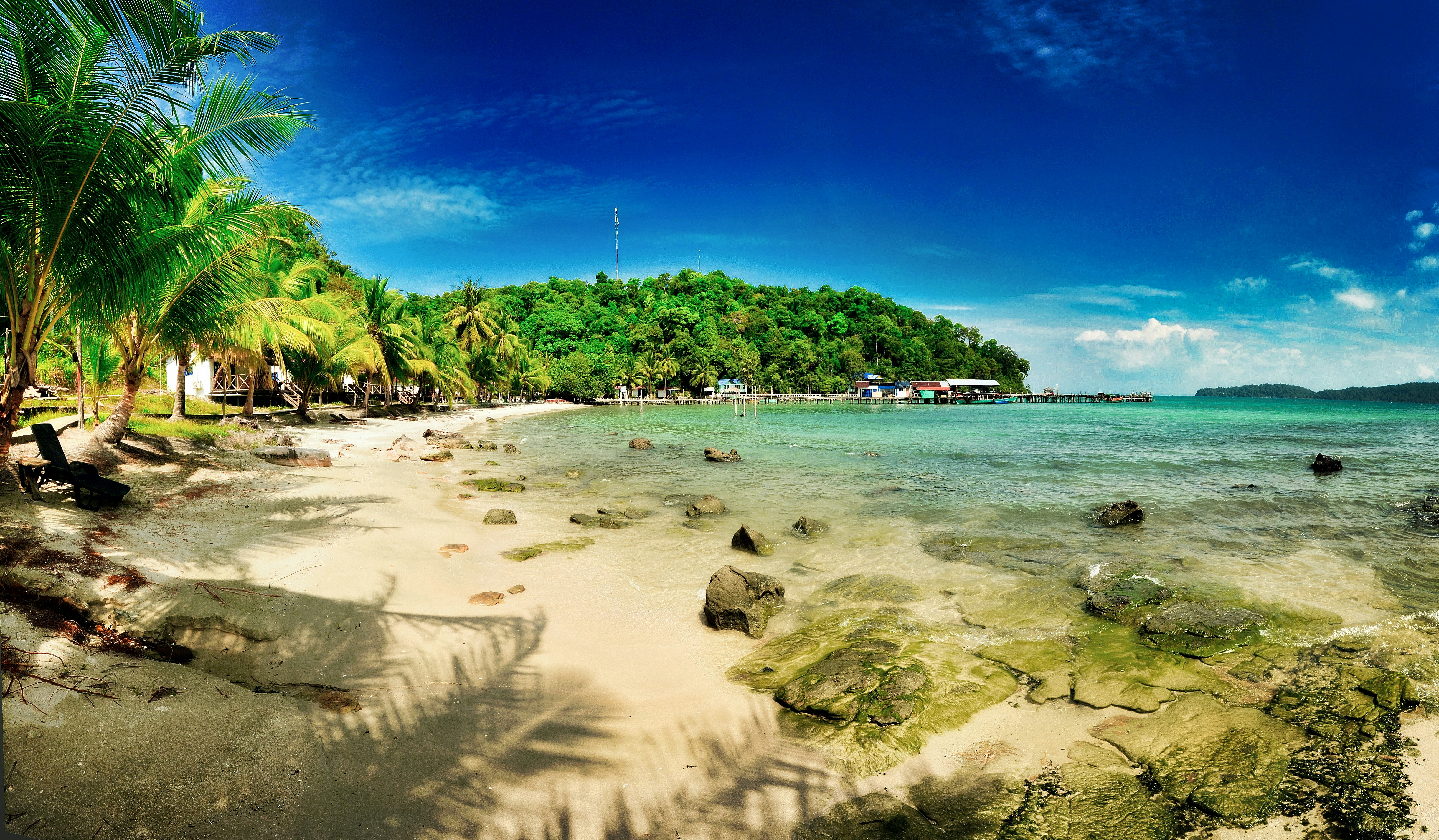 green palm trees on beach shore during daytime, 