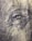 A close-up view of a highly detailed engraving of an eye, found on currency, showcasing intricate line work and patterns.