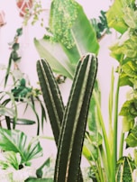 A vibrant arrangement of natural and artificial plants.