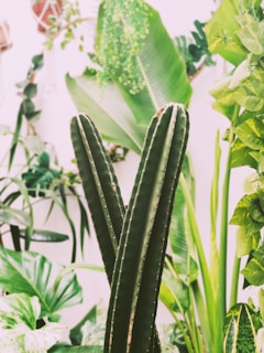 A vibrant arrangement of natural and artificial plants.
