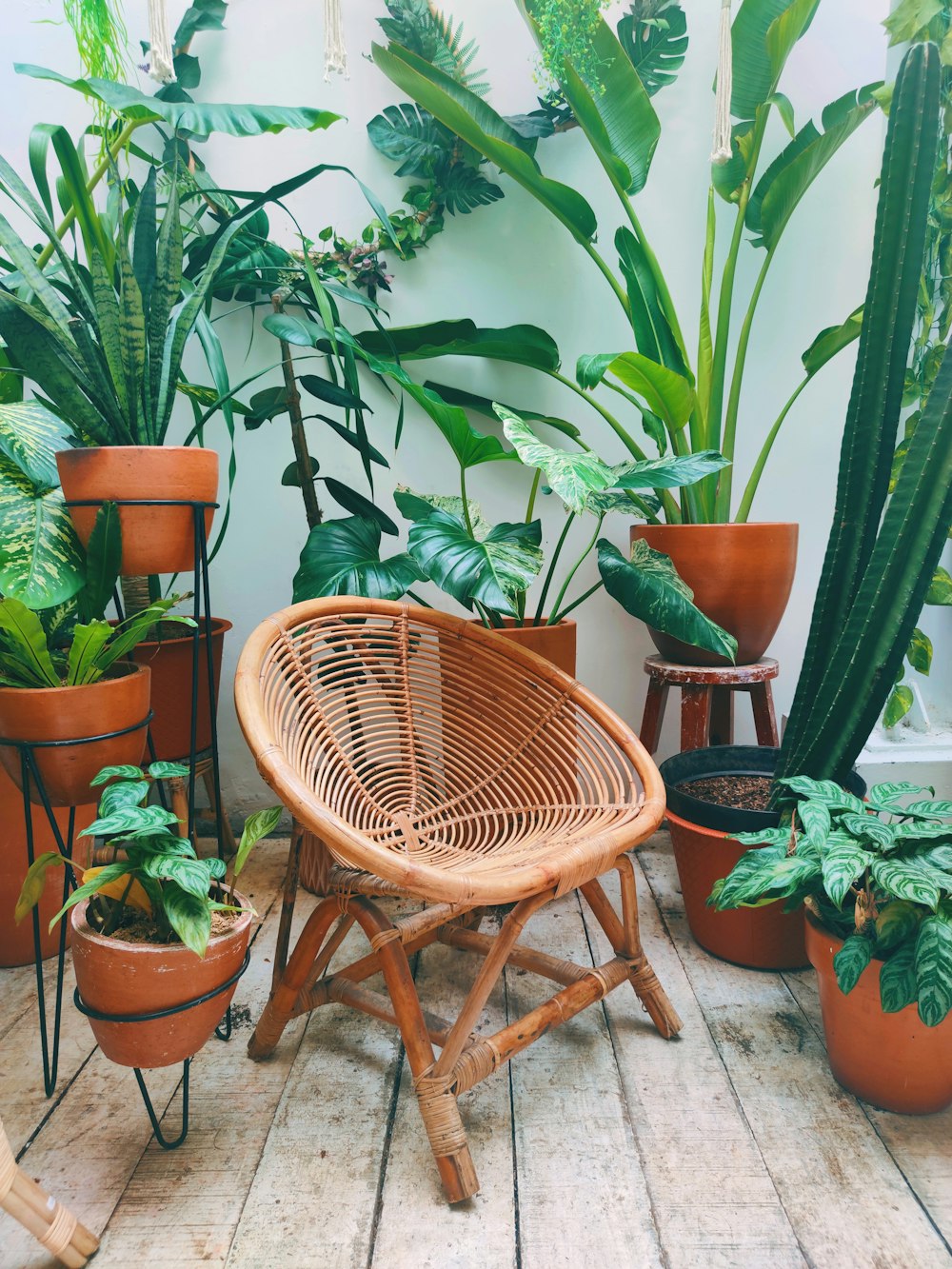 緑の植物の近くの茶色の編まれた椅子