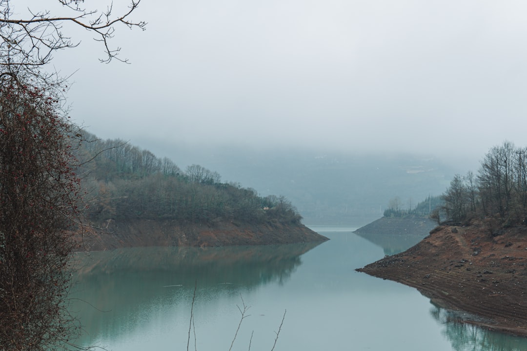 lake in the middle of forest