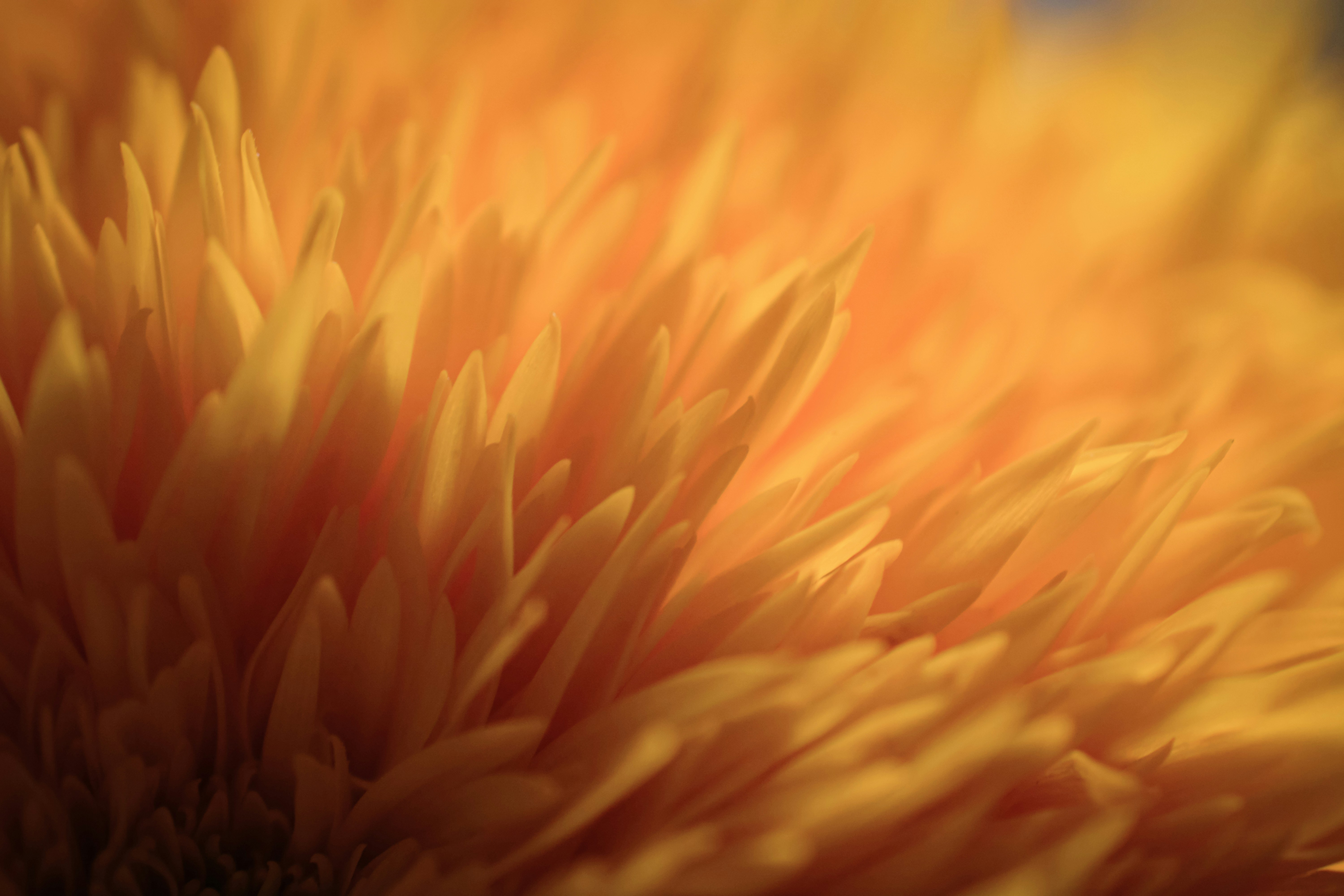 卡晨 Awmleer Unsplash Photo Community