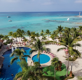 green palm trees near body of water during daytime