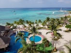 green palm trees near body of water during daytime