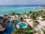 green palm trees near body of water during daytime