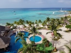 green palm trees near body of water during daytime