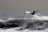 A surfer is performing an aerial maneuver on a wave, soaring above the water with skill and precision. The ocean is slightly turbulent, with waves crashing and a muted sky in the background.